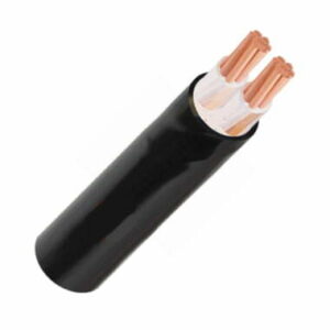 Cáp điện 2 lõi Cadivi CXV-2×100 mm2 – 600V