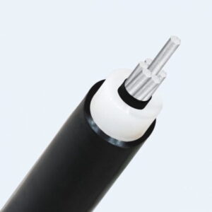 Cáp trung thế nhôm Cadivi AX1V-300 mm2 – 12/20(24) kV