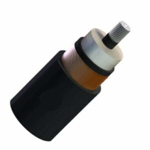 Cáp trung thế nhôm Cadivi AXV/S-240 mm2 – 12/20(24) kV