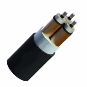 Cáp trung thế nhôm Cadivi AXV/SE/DSTA-3×400 mm2 – 12/20(24) kV