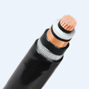 Cáp trung thế đồng Cadivi CXV/S/AWA-240 mm2 – 12/20(24) kV